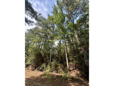 Discover the perfect opportunity to own two adjoining lots on on Rayburn Country Club in Texas - for sale on GolfHomes.com, golf home, golf lot