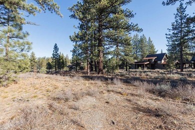 One of Lahontan's most dramatic view homesites, this rare on  in California - for sale on GolfHomes.com, golf home, golf lot