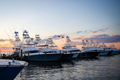 Welcome to 5051 Beachwalk Way, nestled in the sought-after on Sandestin Golf and Beach Resort - The Links in Florida - for sale on GolfHomes.com, golf home, golf lot
