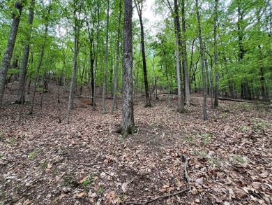 Building Lot in Big Canoe - Priced to Sell! Here's your chance on Big Canoe Golf Club - Cherokee in Georgia - for sale on GolfHomes.com, golf home, golf lot