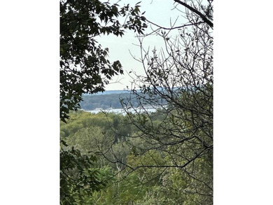 Bundle Deal! 3 lots for $145,000 SOLD together 210076, 77, 78 on White Bluff Resort - Old Course in Texas - for sale on GolfHomes.com, golf home, golf lot