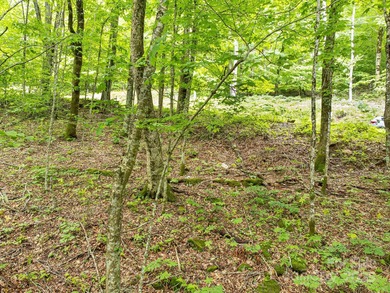 Experience authentic high-elevation mountain living on this on Wolf Laurel Country Club in North Carolina - for sale on GolfHomes.com, golf home, golf lot