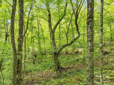 Experience authentic high-elevation mountain living on this on Wolf Laurel Country Club in North Carolina - for sale on GolfHomes.com, golf home, golf lot
