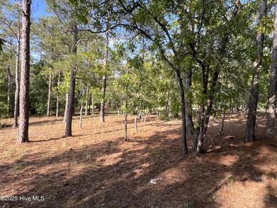 Location, Location, Location... This property has Water, Golf on Ocean Ridge Plantation in North Carolina - for sale on GolfHomes.com, golf home, golf lot
