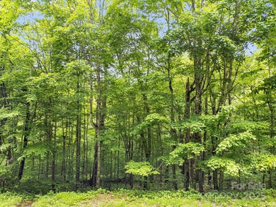 Experience authentic high-elevation mountain living on this on Wolf Laurel Country Club in North Carolina - for sale on GolfHomes.com, golf home, golf lot