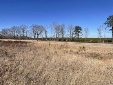 Welcome to Southern Hills Plantation, one of the best places on on Southern Hills Golf Club in Georgia - for sale on GolfHomes.com, golf home, golf lot