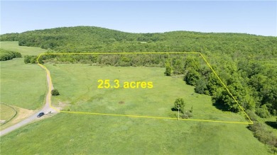 Reduce screen time and increase serene time in the Catskills! on Stamford Golf Club in New York - for sale on GolfHomes.com, golf home, golf lot