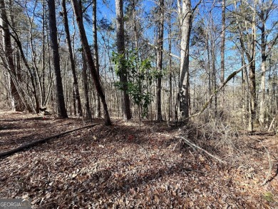 Great location on Flamingo Drive in Turtle Cove! Seller says all on Turtle Cove Golf Course in Georgia - for sale on GolfHomes.com, golf home, golf lot