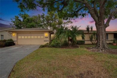 Well-maintained two bedroom, two bath open floor plan Idlewood on Falcon Watch Golf Club in Florida - for sale on GolfHomes.com, golf home, golf lot
