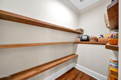 FIRST TIME IN MARKET Exquisite Tuscan-Inspired Estate in on Ridges Golf and Country Club in Tennessee - for sale on GolfHomes.com, golf home, golf lot