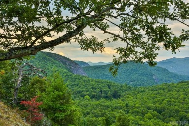 Discover the unparalleled elegance of this nearly new custom on Natures Walk At Chinquapin in North Carolina - for sale on GolfHomes.com, golf home, golf lot