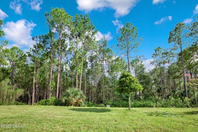 Experience fabulous Florida living in this beautifully appointed on LPGA International Golf Course in Florida - for sale on GolfHomes.com, golf home, golf lot