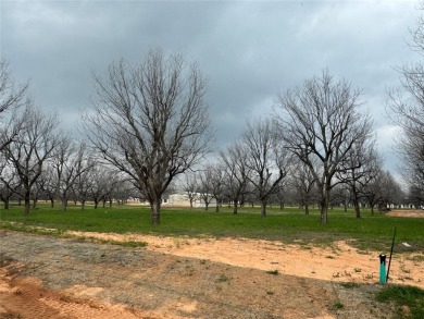 FLY IN  SEE THIS READY TO BUILD LOT BEFORE IT'S GONE! Here's on Pecan Plantation Country Club in Texas - for sale on GolfHomes.com, golf home, golf lot