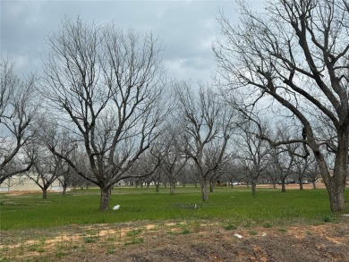 FLY IN  SEE THIS READY TO BUILD LOT BEFORE IT'S GONE! Here's on Pecan Plantation Country Club in Texas - for sale on GolfHomes.com, golf home, golf lot