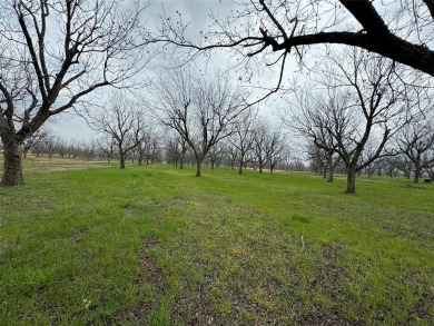 FLY IN  SEE THIS READY TO BUILD LOT BEFORE IT'S GONE! Here's on Pecan Plantation Country Club in Texas - for sale on GolfHomes.com, golf home, golf lot