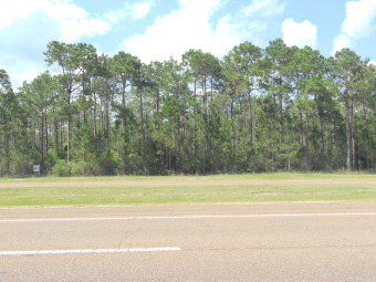5.o acres just east of Ocean Springs and near Shell Landing Golf on Shell Landing Golf Club in Mississippi - for sale on GolfHomes.com, golf home, golf lot