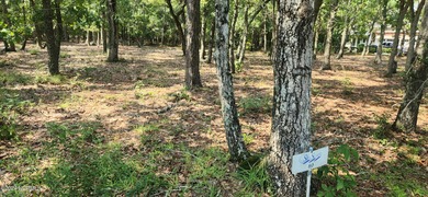 GREAT THANKSGIVING 2025 GIFT TO GIVE YOUR FAMILY, and one of the on Lockwood Folly Country Club in North Carolina - for sale on GolfHomes.com, golf home, golf lot