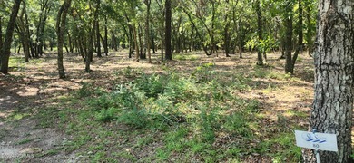 GREAT THANKSGIVING 2025 GIFT TO GIVE YOUR FAMILY, and one of the on Lockwood Folly Country Club in North Carolina - for sale on GolfHomes.com, golf home, golf lot