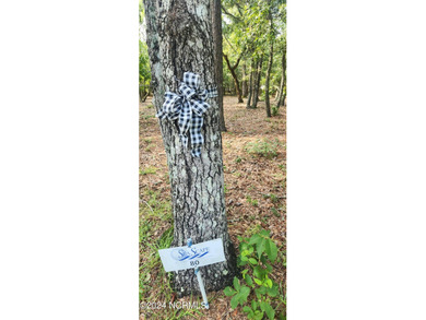 GREAT THANKSGIVING 2025 GIFT TO GIVE YOUR FAMILY, and one of the on Lockwood Folly Country Club in North Carolina - for sale on GolfHomes.com, golf home, golf lot