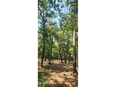 GREAT THANKSGIVING 2025 GIFT TO GIVE YOUR FAMILY, and one of the on Lockwood Folly Country Club in North Carolina - for sale on GolfHomes.com, golf home, golf lot