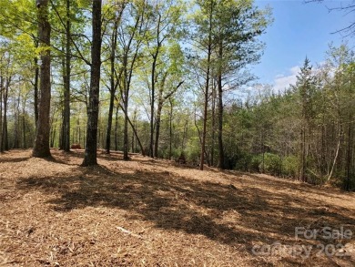 MOUNTAIN VIEWS GALORE ON LOT 21 IN TATANKA!  Perfect lot to on Rumbling Bald Resort on Lake Lure in North Carolina - for sale on GolfHomes.com, golf home, golf lot