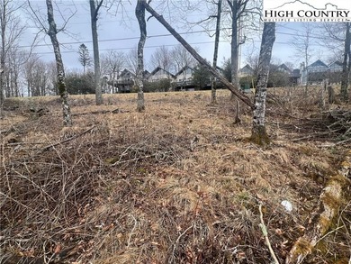 Scenic opportunity on N Pinnacle Ridge Rd on Beech Mountain on Beech Mountain Club in North Carolina - for sale on GolfHomes.com, golf home, golf lot