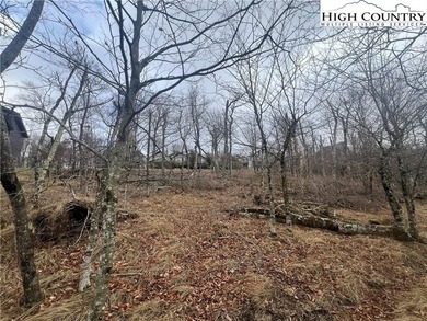 Scenic opportunity on N Pinnacle Ridge Rd on Beech Mountain on Beech Mountain Club in North Carolina - for sale on GolfHomes.com, golf home, golf lot