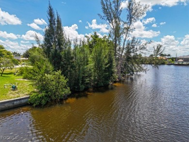 Paradise Awaits! Imagine waking up to expansive intersecting on Palmetto-Pine Country Club in Florida - for sale on GolfHomes.com, golf home, golf lot