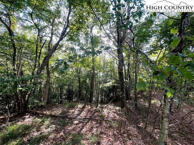 Nice upside view lot at a great price. On a paved road with city on Beech Mountain Club in North Carolina - for sale on GolfHomes.com, golf home, golf lot