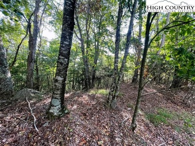 Nice upside view lot at a great price. On a paved road with city on Beech Mountain Club in North Carolina - for sale on GolfHomes.com, golf home, golf lot