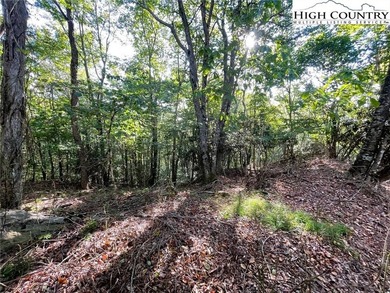 Nice upside view lot at a great price. On a paved road with city on Beech Mountain Club in North Carolina - for sale on GolfHomes.com, golf home, golf lot