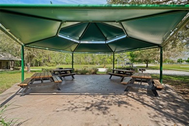 Welcome to Your Dream Home in Harmony! Four bedrooms and two on Harmony Golf Preserve in Florida - for sale on GolfHomes.com, golf home, golf lot