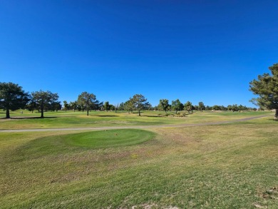 On The Golf Course W/Stunning Views! 2BD 2BA 2Car Carport! Huge on Viewpoint Golf Resort in Arizona - for sale on GolfHomes.com, golf home, golf lot