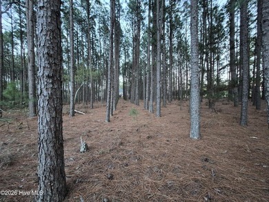 RARE opportunity to own nearly 1 Acre building lot on a quiet on Foxfire Golf and Country Club in North Carolina - for sale on GolfHomes.com, golf home, golf lot