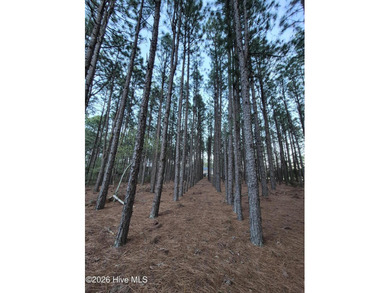 RARE opportunity to own nearly 1 Acre building lot on a quiet on Foxfire Golf and Country Club in North Carolina - for sale on GolfHomes.com, golf home, golf lot