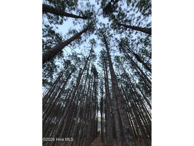 RARE opportunity to own nearly 1 Acre building lot on a quiet on Foxfire Golf and Country Club in North Carolina - for sale on GolfHomes.com, golf home, golf lot