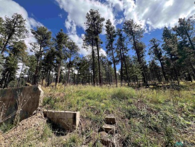 Welcome to 57 E Forest Dr in beautiful Pendaries Villageyour on Pendaries Village Community Assoc. in New Mexico - for sale on GolfHomes.com, golf home, golf lot
