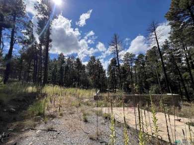 Welcome to 57 E Forest Dr in beautiful Pendaries Villageyour on Pendaries Village Community Assoc. in New Mexico - for sale on GolfHomes.com, golf home, golf lot