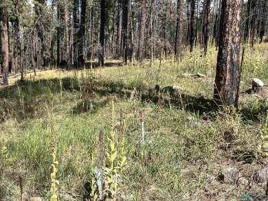 Welcome to 57 E Forest Dr in beautiful Pendaries Villageyour on Pendaries Village Community Assoc. in New Mexico - for sale on GolfHomes.com, golf home, golf lot