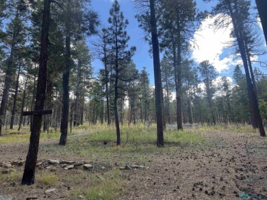 Welcome to 57 E Forest Dr in beautiful Pendaries Villageyour on Pendaries Village Community Assoc. in New Mexico - for sale on GolfHomes.com, golf home, golf lot