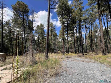 Welcome to 57 E Forest Dr in beautiful Pendaries Villageyour on Pendaries Village Community Assoc. in New Mexico - for sale on GolfHomes.com, golf home, golf lot