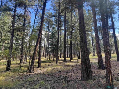 Welcome to 57 E Forest Dr in beautiful Pendaries Villageyour on Pendaries Village Community Assoc. in New Mexico - for sale on GolfHomes.com, golf home, golf lot