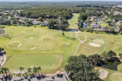 Welcome to Your New Home in East Lake Woodlands! Discover on East Lake Woodlands Country Club in Florida - for sale on GolfHomes.com, golf home, golf lot