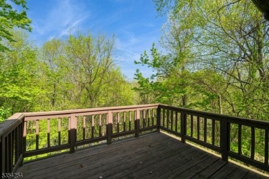 Nestled just steps from the slopes of Mountain Creek and close on Minerals Golf Club in New Jersey - for sale on GolfHomes.com, golf home, golf lot