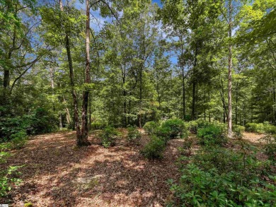 Fantastic opportunity at The Cliffs at Mountain Park, The on The Cliffs at Mountain Park  in South Carolina - for sale on GolfHomes.com, golf home, golf lot