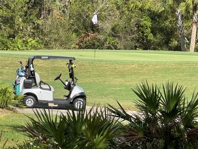 Under contract-accepting backup offers. JUST REDUCED, MUST SELL on Esplanade Golf and Country at Lakewood Ranch in Florida - for sale on GolfHomes.com, golf home, golf lot