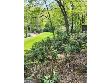 Follow the paved, winding driveway, through a Rhododendron on Sky Valley Resort and Country Club in Georgia - for sale on GolfHomes.com, golf home, golf lot