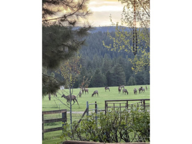 Peaceful country living in the heart of the mountains. This gem on Terrace Lakes Golf Resort in Idaho - for sale on GolfHomes.com, golf home, golf lot