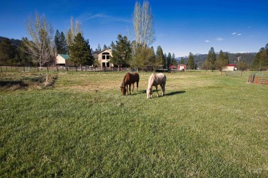 Peaceful country living in the heart of the mountains. This gem on Terrace Lakes Golf Resort in Idaho - for sale on GolfHomes.com, golf home, golf lot