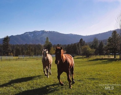 Peaceful country living in the heart of the mountains. This gem on Terrace Lakes Golf Resort in Idaho - for sale on GolfHomes.com, golf home, golf lot